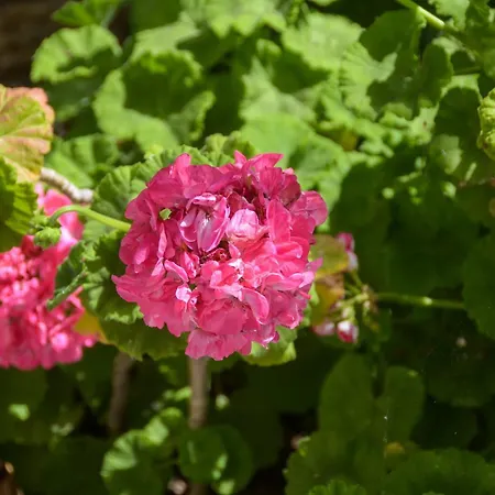 Appartamento Golden Glyfada