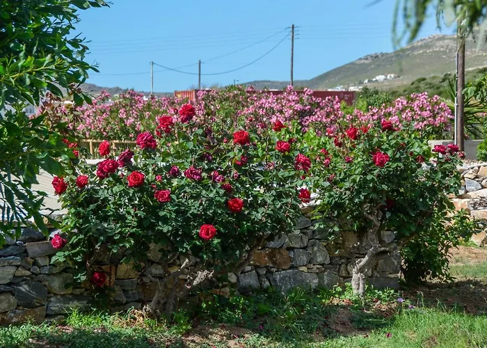 Golden Glyfada * Kastraki (Naxos)